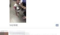 滑县爆料录音事件真相视频,真相与真相背后的真相