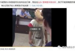 滑县爆料录音事件真相视频,真相与真相背后的真相