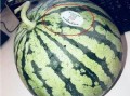 今日吃瓜 网红吃瓜,今日热门话题大揭秘