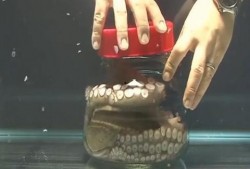 瓶子爆料最近新闻视频,最新新闻视频揭秘事件真相