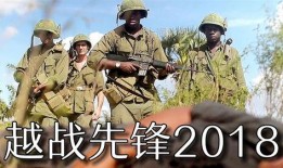 在线观看越战先锋,揭秘战场英雄的传奇征程