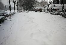 西安爆料大雪视频最新2020,银装素裹，古城焕新颜”