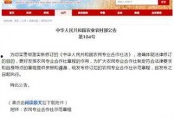 农村国宝爆料新闻最新版,揭秘最新版惊天新闻背后的真相