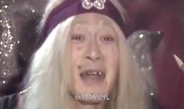 娘  在线观看,一场跨越时空的亲情之旅