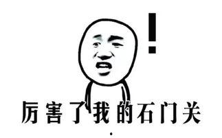 娱乐吃瓜娃子酱,揭秘娱乐圈幕后故事