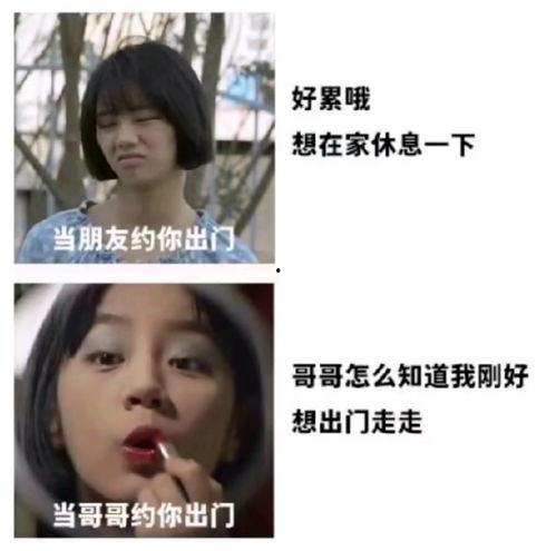 沙雕娱乐圈吃瓜小说推荐