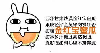 我就是个吃瓜群众图片,网络围观背后的社会心理