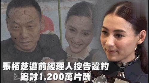 吃瓜调侃娱乐,笑谈明星幕后趣事